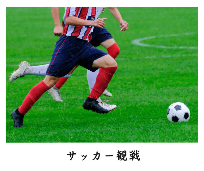 サッカー観戦